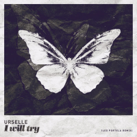 I Will Try (Leo Portela Remix) (Single)