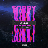 Sorry (Single)