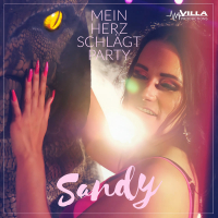 Mein Herz schlägt Party (Single)