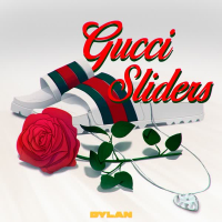 Gucci Sliders (Single)