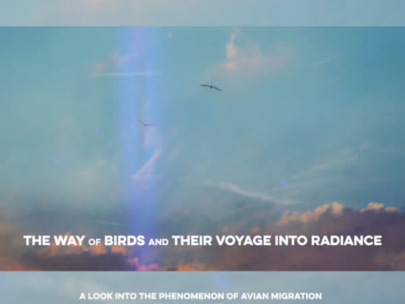 The Way of Birds and Their Voyage into Radiance (EP)