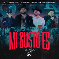 Mi Gusto Es (En Vivo) (Single)