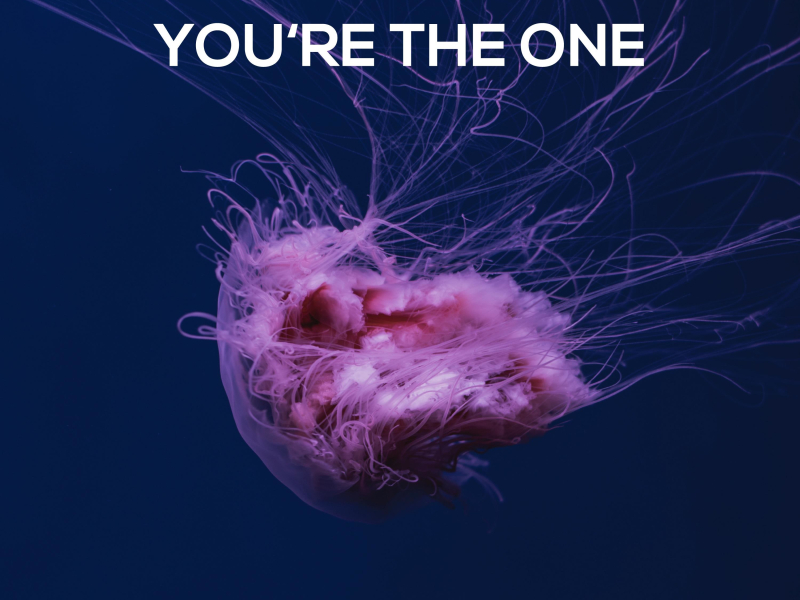 You're The One (Single)
