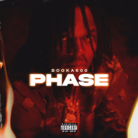 Phase (Single)