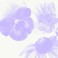 Don't die on me (Single)