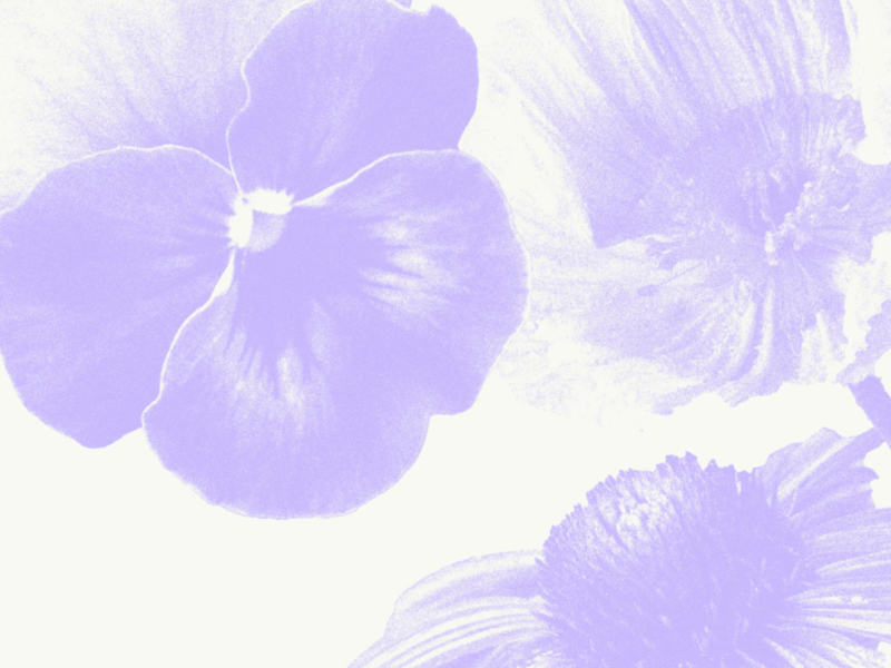 Don't die on me (Single)