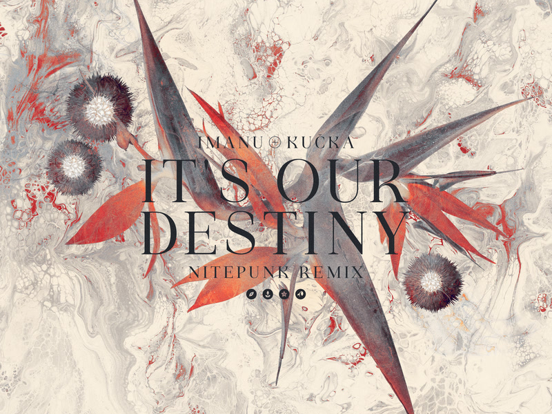 It's Our Destiny (Nitepunk Remix) (Single)