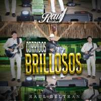 Corridos Brillosos