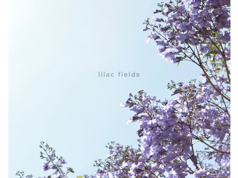 lilac fields (Single)