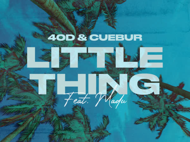 Little Thing (Single)
