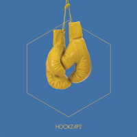 HOOKZAP2 (Single)