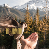 In Harmony (Single)