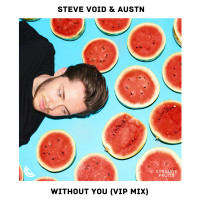 Without You (VIP Mix) (Single)