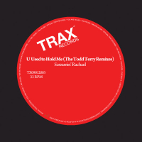 U Used to Hold Me (The Todd Terry Remixes)