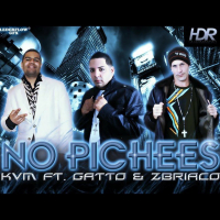No Pichees (Single)