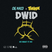 Do What It Do (Single)