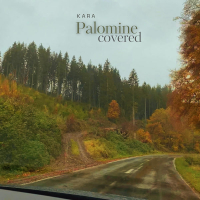 Palomine Covered (Single)