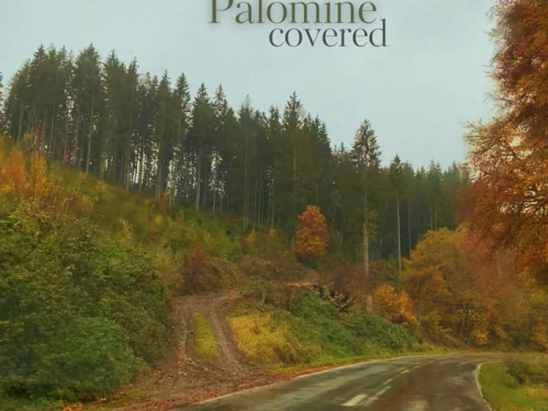 Palomine Covered (Single)