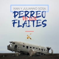 Perreo Pa Los Flaites (Single)