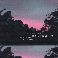 Faking It (Radio Edit) (Single)