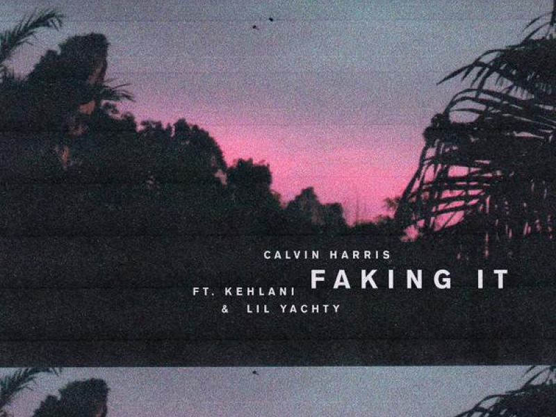 Faking It (Radio Edit) (Single)