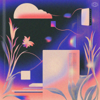 Connecting to Server (Single)