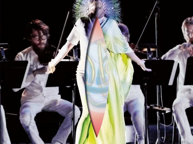 Vulnicura Strings (The Acoustic Version: Strings, Voice And Viola Organista Only)