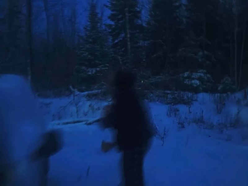 silent scream (Single)