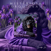 Misteriosa ORQUÍDEA (Single)