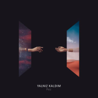 Yalnız Kaldım (Single)
