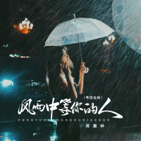 风雨中等你的人 (DJ京仔粤语金曲版) (Single)