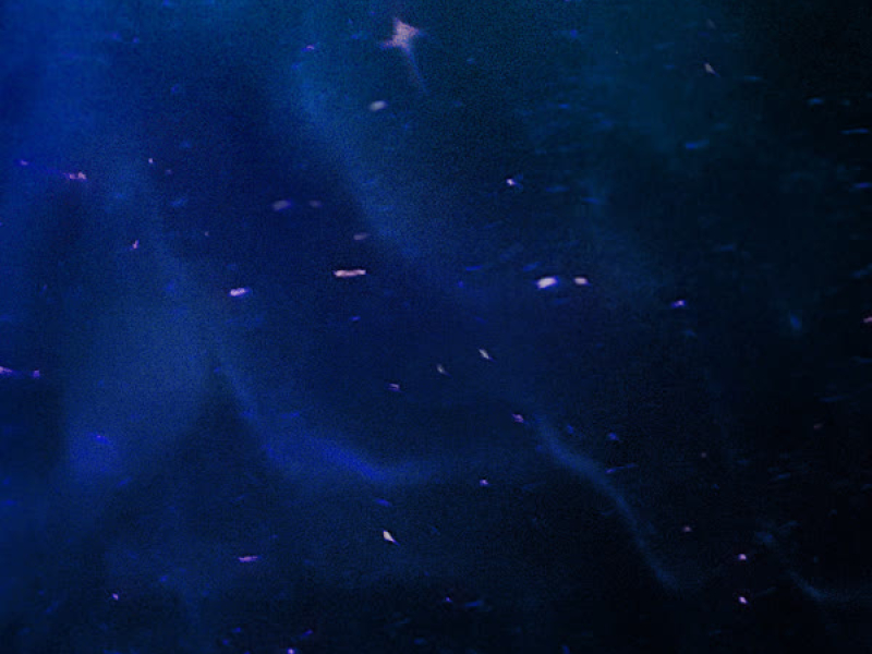 Ilovemyvibe (Single)