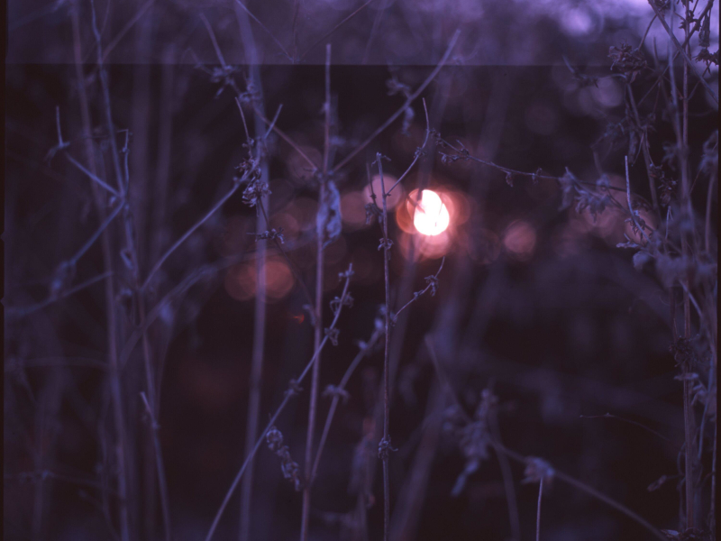 Somewhere Here (Single)