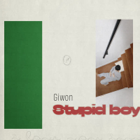 Stupid boy (Single)