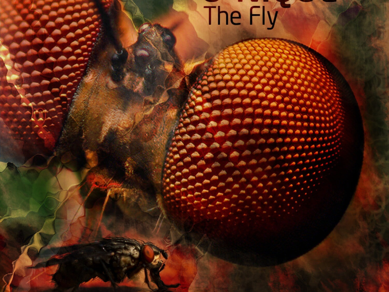 The Fly (EP)