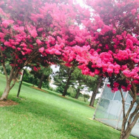 Round My Way (Single)