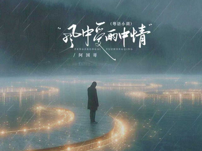 风中爱雨中情 (DJ阿越粤语小调) (Single)