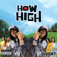 How High (Single)