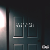 Want It All (Single)
