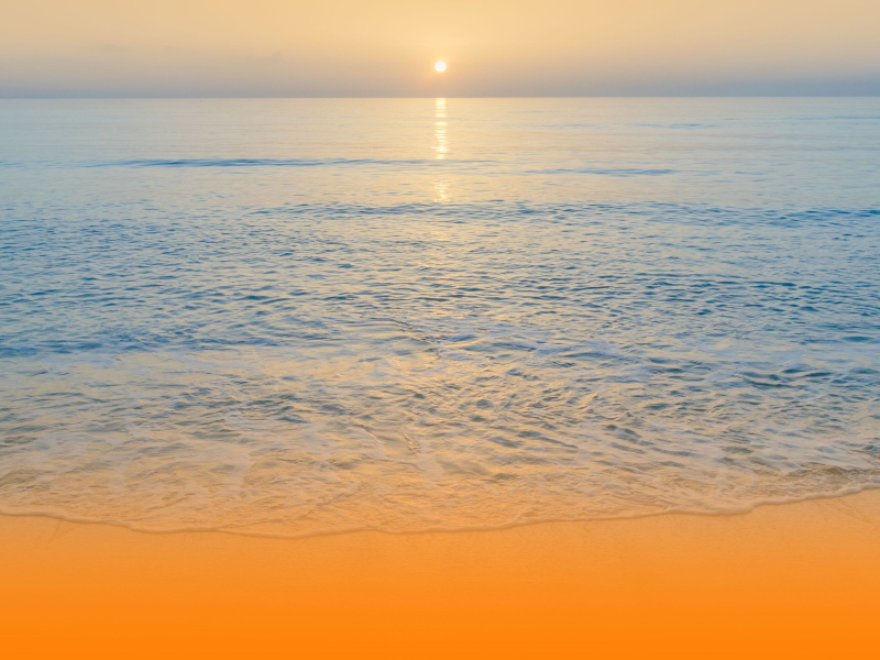 Relaxing Spa Music With Tranquil Nature Sounds And Peaceful Ambient Tones For Massage And Wellness (Single)