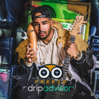 Drip Advisor (Single)