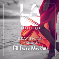 Till There Was You (Single)