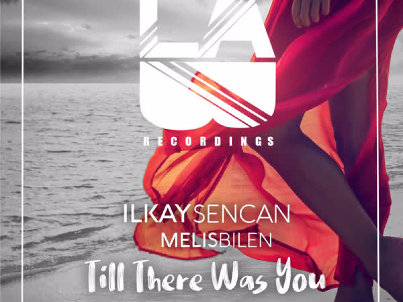 Till There Was You (Single)