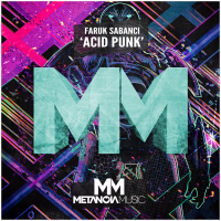 Acid Punk (Single)