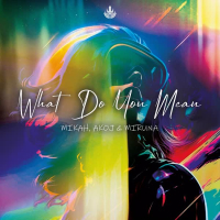 What Do You Mean (Single)