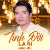 Tình Đời Là Gì (Single)
