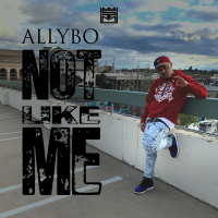 Not Like Me (Single)