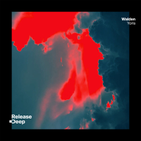 Yoris (Radio Edit) (Single)