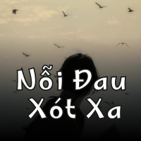 Nỗi Đau Xót Xa (ZZ Remix)  (Single)