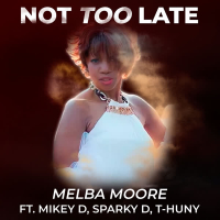 Not Too Late (Big Herb Remix) (Single)